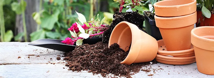 Best Plant Pots Explained: Materials, Sizes & Drainage