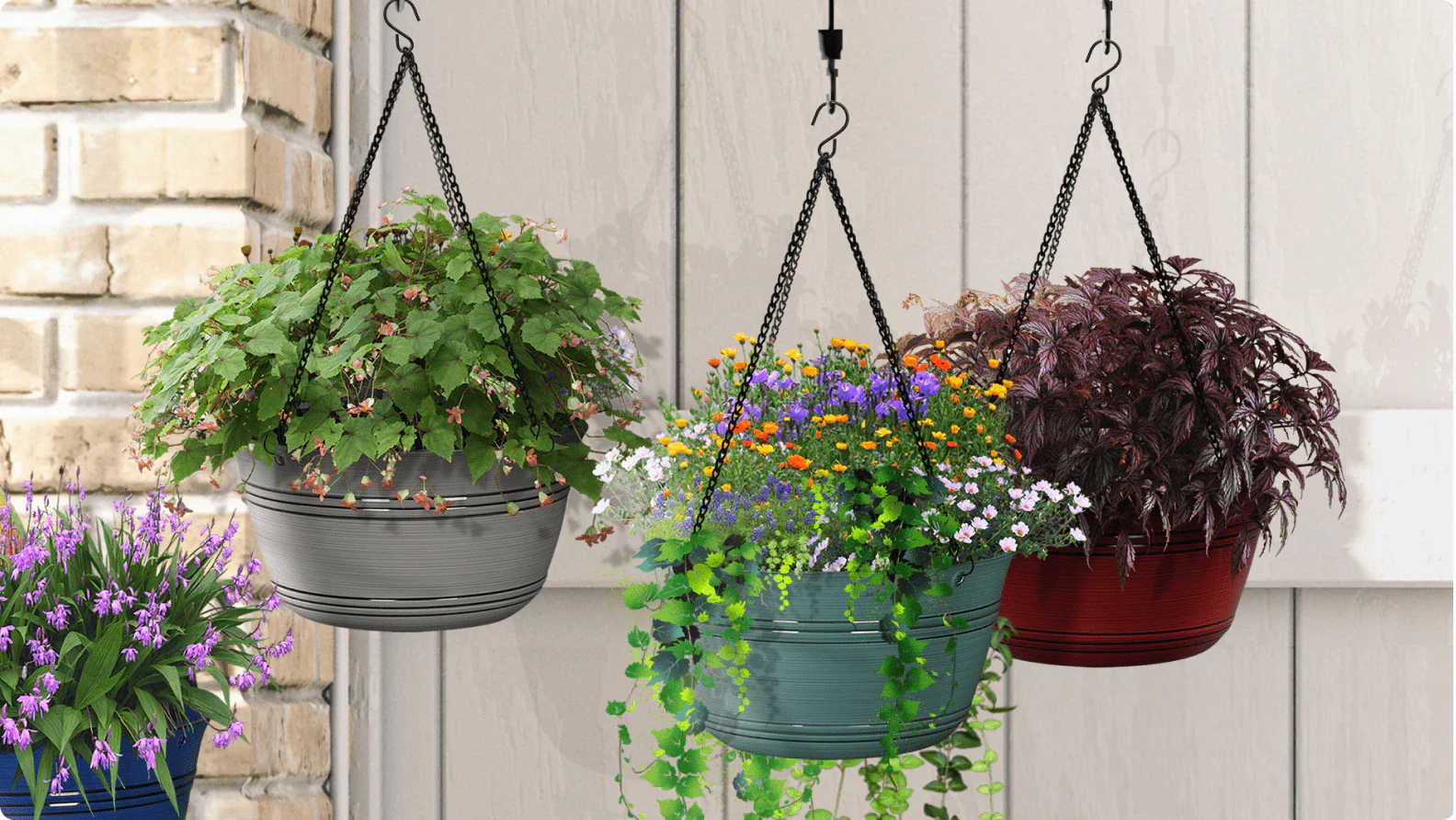 Best Places to Buy Hanging Plants for Apartments